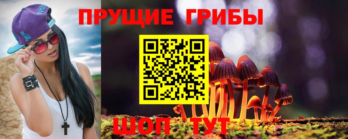Псилоцибиновые грибы MAGIC MUSHROOMS  Галлюциногенные грибы Magic Shrooms  Серов  Вход с VPN 